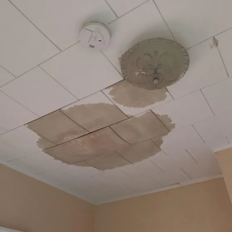 Ceiling Water Damage Repair in Hazelwood, NC