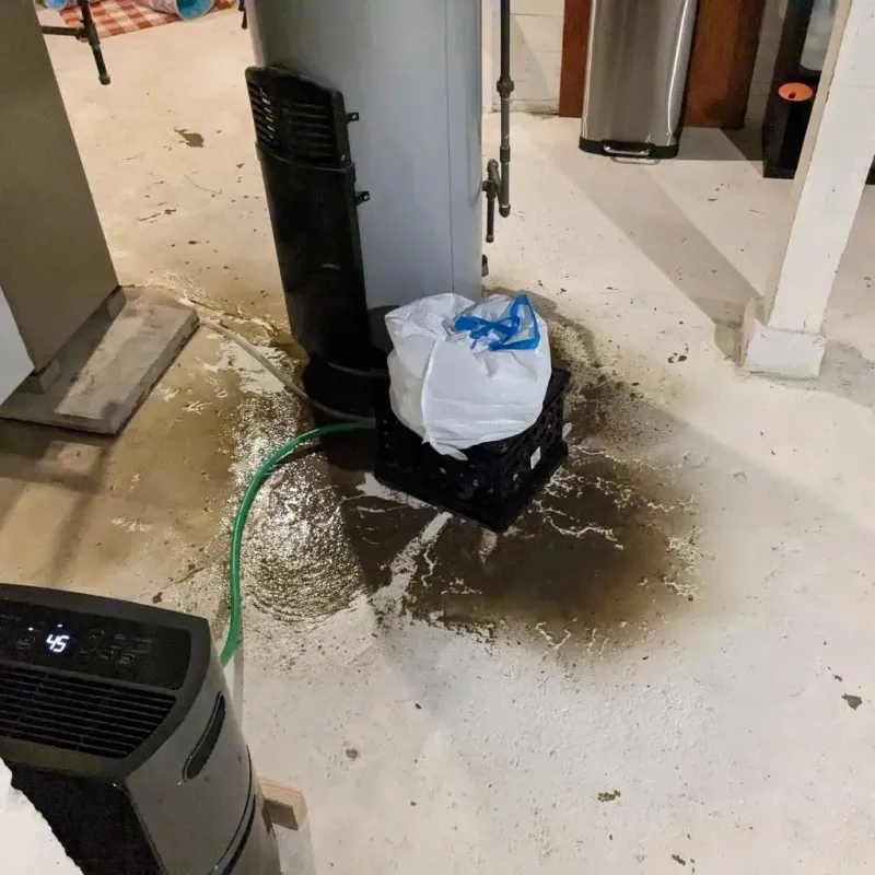 Sewage Backup Cleanup Service in Hazelwood, NC